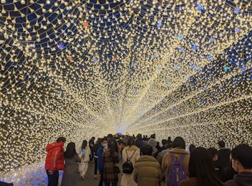 なばなの里に投稿された画像（2020/11/27）