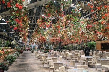 なばなの里に投稿された画像（2020/11/27）