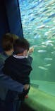 サンシャイン水族館に投稿された画像（2020/11/27）