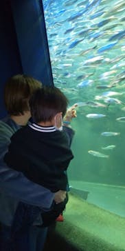 サンシャイン水族館に投稿された画像（2020/11/27）