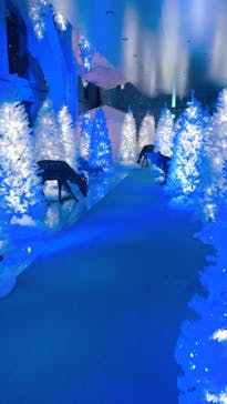 梅田スカイビル・空中庭園展望台に投稿された画像（2020/11/27）