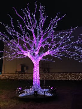 東京メガイルミに投稿された画像（2020/11/27）