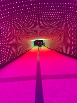 東京メガイルミに投稿された画像（2020/11/27）