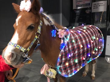 東京メガイルミに投稿された画像（2020/11/27）