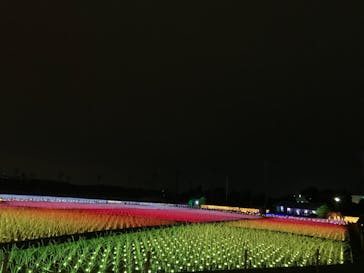 東京メガイルミに投稿された画像（2020/11/27）