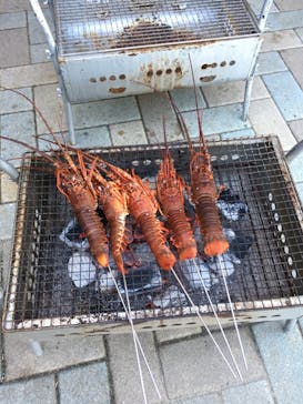 志摩市浜島磯体験施設 海ほおずきに投稿された画像（2020/11/27）