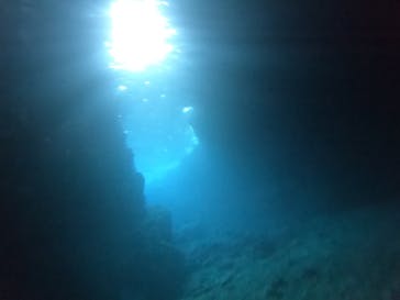 MalDive（モルダイブ）に投稿された画像（2020/11/27）