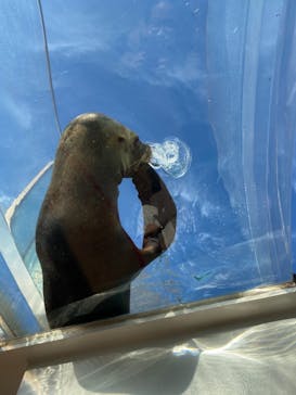 サンシャイン水族館に投稿された画像（2020/11/27）