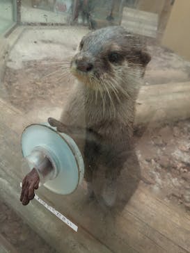 横浜・八景島シーパラダイスに投稿された画像（2020/11/27）