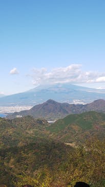 伊豆パノラマパークに投稿された画像（2020/11/28）