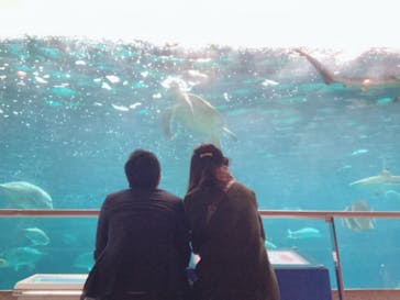 株式会社Gに投稿された画像（2020/11/28）