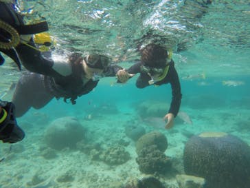 武藤潜水に投稿された画像（2020/11/28）