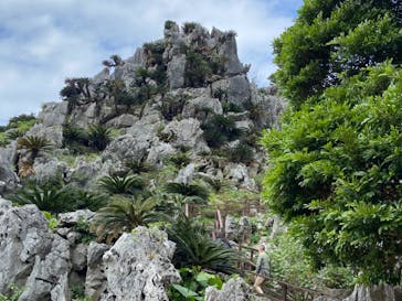 アスムイハイクスに投稿された画像（2020/11/28）