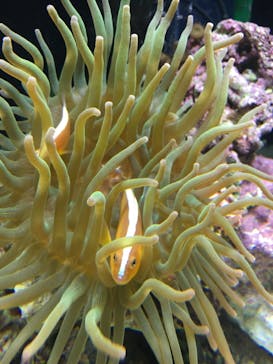 京都水族館に投稿された画像（2020/11/28）