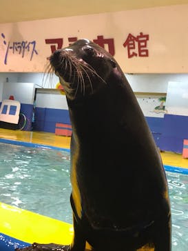 ゼロ距離水族館 伊勢シーパラダイスに投稿された画像（2020/11/28）