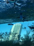 サンシャイン水族館に投稿された画像（2020/11/28）