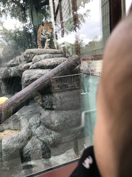 天王寺動物園に投稿された画像（2020/11/28）