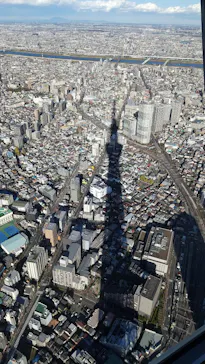 東京スカイツリーに投稿された画像（2020/11/28）