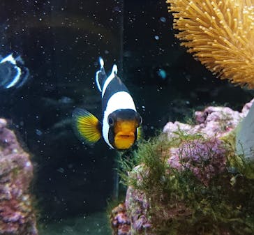 京都水族館に投稿された画像（2020/11/28）