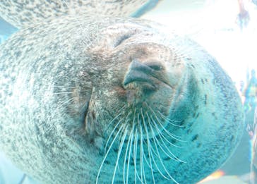 京都水族館に投稿された画像（2020/11/28）