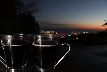 神戸布引ハーブ園／ロープウェイに投稿された画像（2020/11/23）