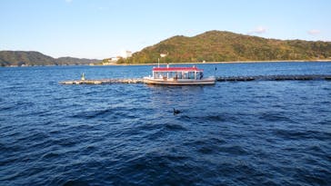 ミキモト真珠島に投稿された画像（2020/11/28）