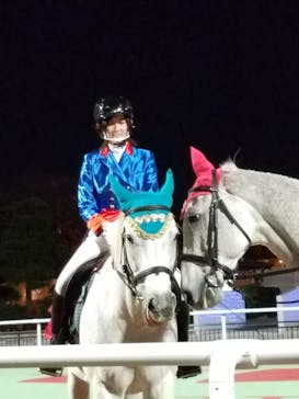 東京メガイルミに投稿された画像（2020/11/28）