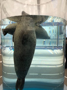 京都水族館に投稿された画像（2020/11/28）