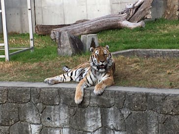 天王寺動物園に投稿された画像（2020/11/28）