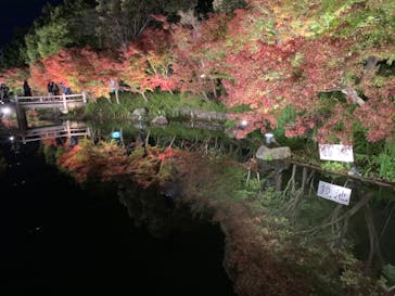 なばなの里に投稿された画像（2020/11/28）