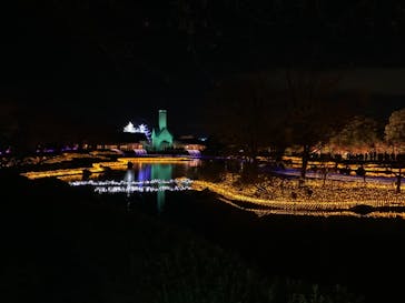 なばなの里に投稿された画像（2020/11/28）