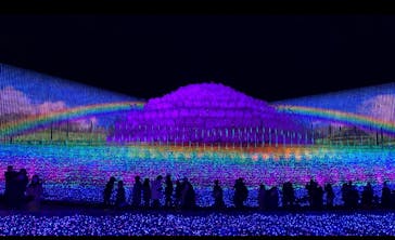 なばなの里に投稿された画像（2020/11/28）