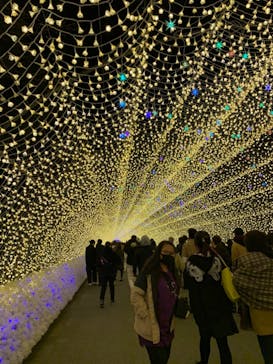 なばなの里に投稿された画像（2020/11/28）