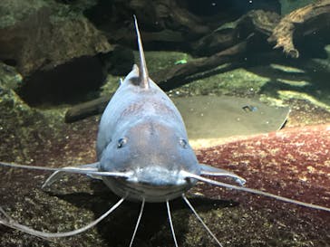 サンシャイン水族館に投稿された画像（2020/11/28）