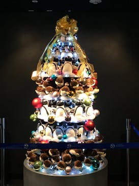 サンシャイン水族館に投稿された画像（2020/11/28）