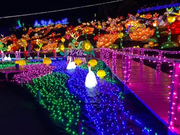 伊豆ぐらんぱる公園に投稿された画像（2020/11/28）