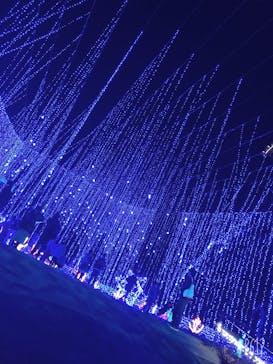 さがみ湖MORI MORIに投稿された画像（2020/11/28）