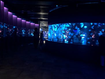 京都水族館に投稿された画像（2020/11/28）