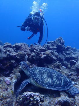 マリンショップtaitaiに投稿された画像（2020/11/28）