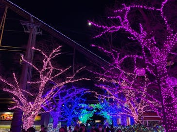 よみうりランド 遊園地に投稿された画像（2020/11/28）