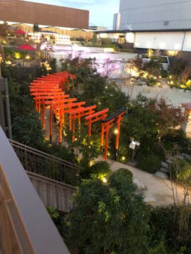 空庭温泉 OSAKA BAY TOWER（オオサカベイタワー）に投稿された画像（2020/11/28）