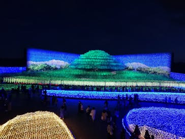 なばなの里に投稿された画像（2020/11/28）