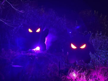 さがみ湖MORI MORIに投稿された画像（2020/11/28）