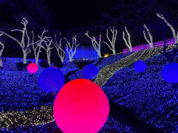 さがみ湖MORI MORIに投稿された画像（2020/11/28）