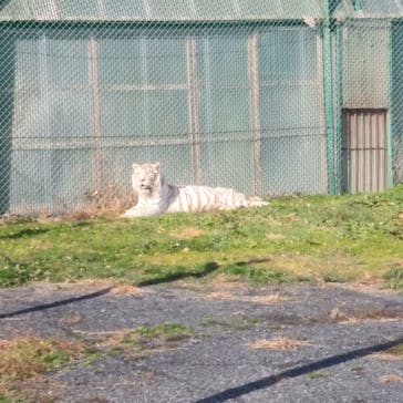 岩手サファリパークに投稿された画像（2020/11/28）