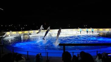 京都水族館に投稿された画像（2020/11/28）
