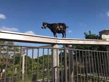 沖縄こどもの国に投稿された画像（2020/11/28）