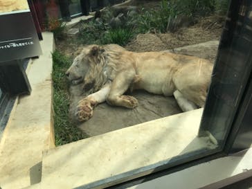 沖縄こどもの国に投稿された画像（2020/11/28）