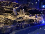 すみだ水族館に投稿された画像（2020/11/28）