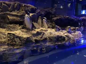 すみだ水族館に投稿された画像（2020/11/28）